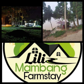 LILIZ MAMBANG FARMSTAY